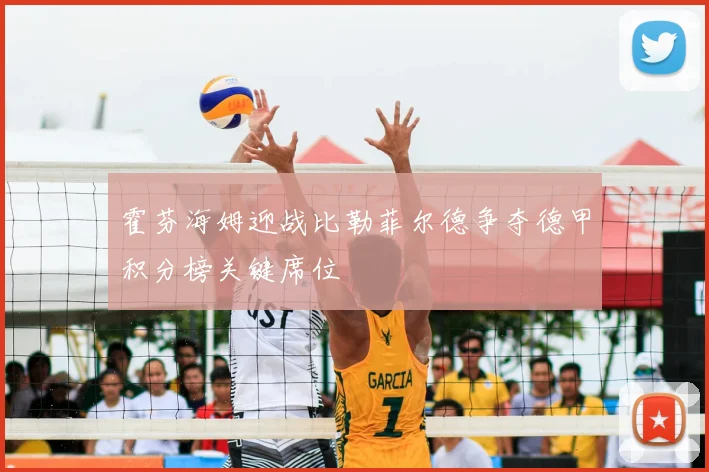 霍芬海姆迎战比勒菲尔德争夺德甲积分榜关键席位
