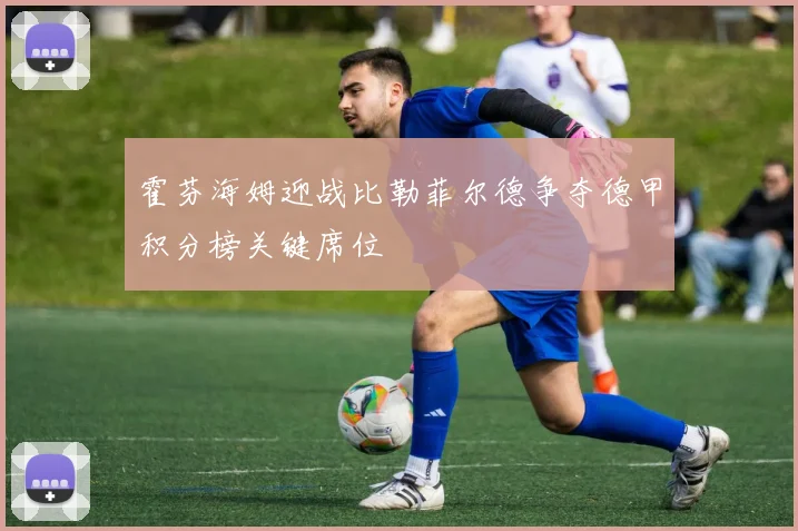 霍芬海姆迎战比勒菲尔德争夺德甲积分榜关键席位
