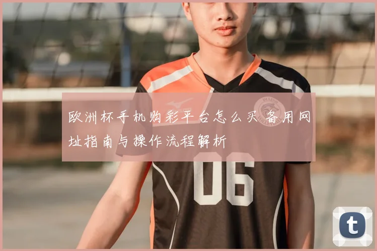 欧洲杯手机购彩平台怎么买 备用网址指南与操作流程解析