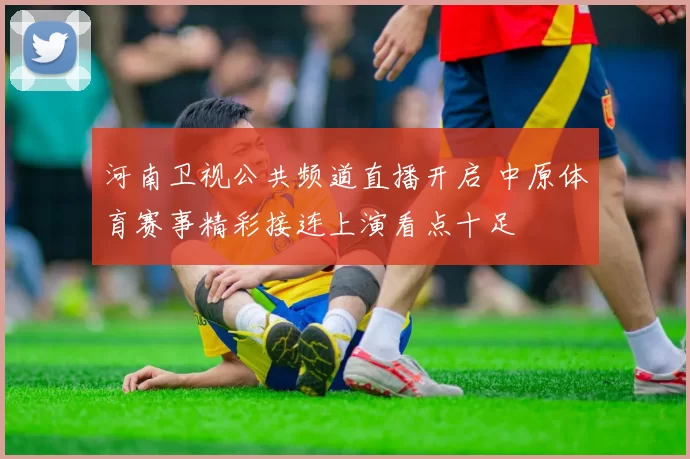 河南卫视公共频道直播开启 中原体育赛事精彩接连上演看点十足