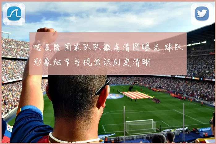 喀麦隆国家队队徽高清图曝光 球队形象细节与视觉识别更清晰