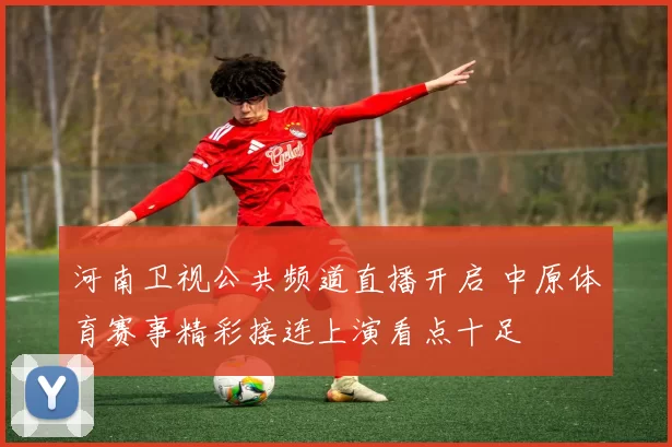 河南卫视公共频道直播开启 中原体育赛事精彩接连上演看点十足