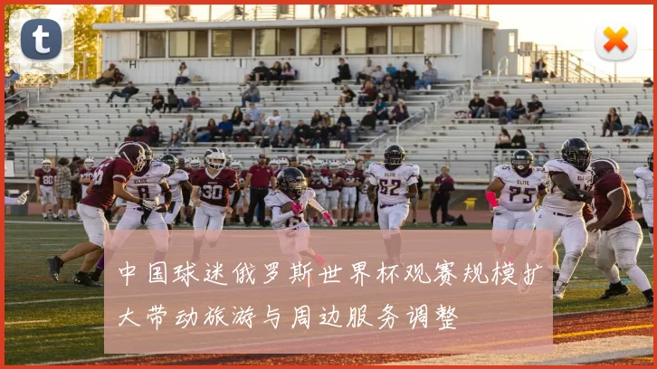 中国球迷俄罗斯世界杯观赛规模扩大带动旅游与周边服务调整