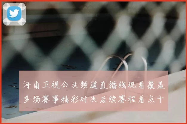 河南卫视公共频道直播线观看覆盖多场赛事精彩对决后续赛程看点十足